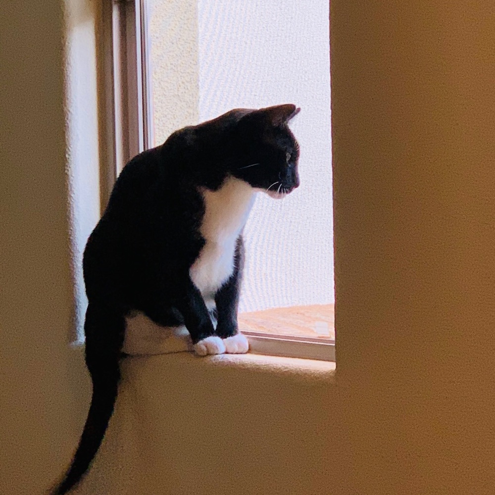 Meet your Posher, Huihui